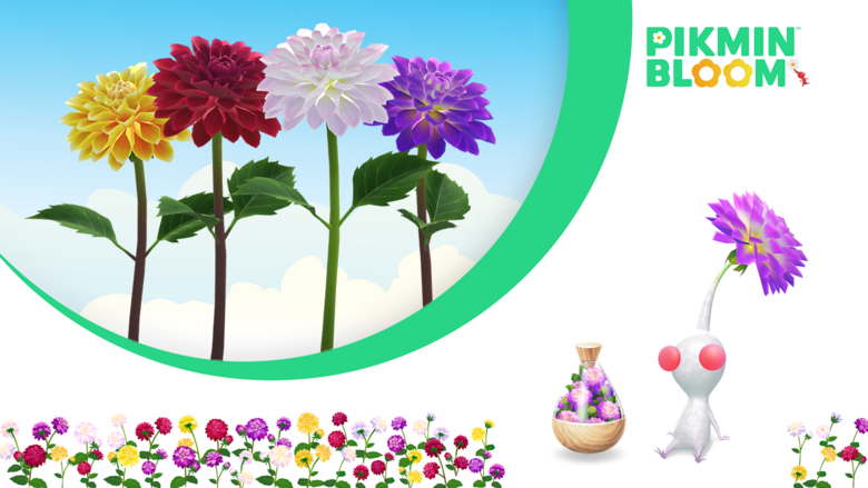 Pikmin Bloom October 2024 Big Flower Forecast & Community Days Detailed